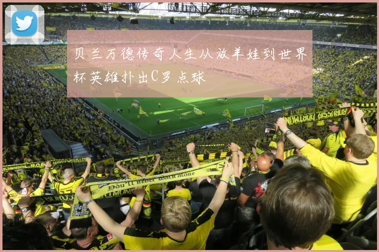 贝兰万德传奇人生从放羊娃到世界杯英雄扑出C罗点球