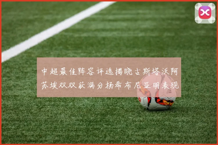 中超最佳阵容评选揭晓古斯塔沃阿苏埃双双获满分杨希布尼亚明表现出色