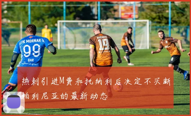 热刺引进M费和托纳利后决定不买断帕利尼亚的最新动态