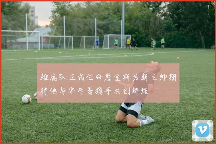 雄鹿队正式任命詹金斯为新主帅期待他与字母哥携手共创辉煌
